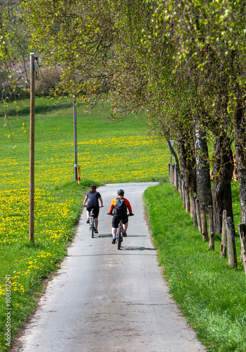 people on bicycle pass dandelions in field near winterberg in german sauerland photo