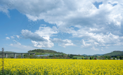 rapeseed field in german sauerland under cloudy sky in spring