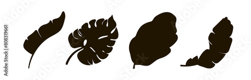 Set of four leaves. Black silhouette of the leaves. Vector illustration isolated on a white background