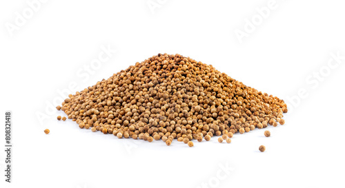 Coriander Seeds Isolated  Cilantro Grains  Chinese Parsley Seed Group  Dry Spices  Seasonings