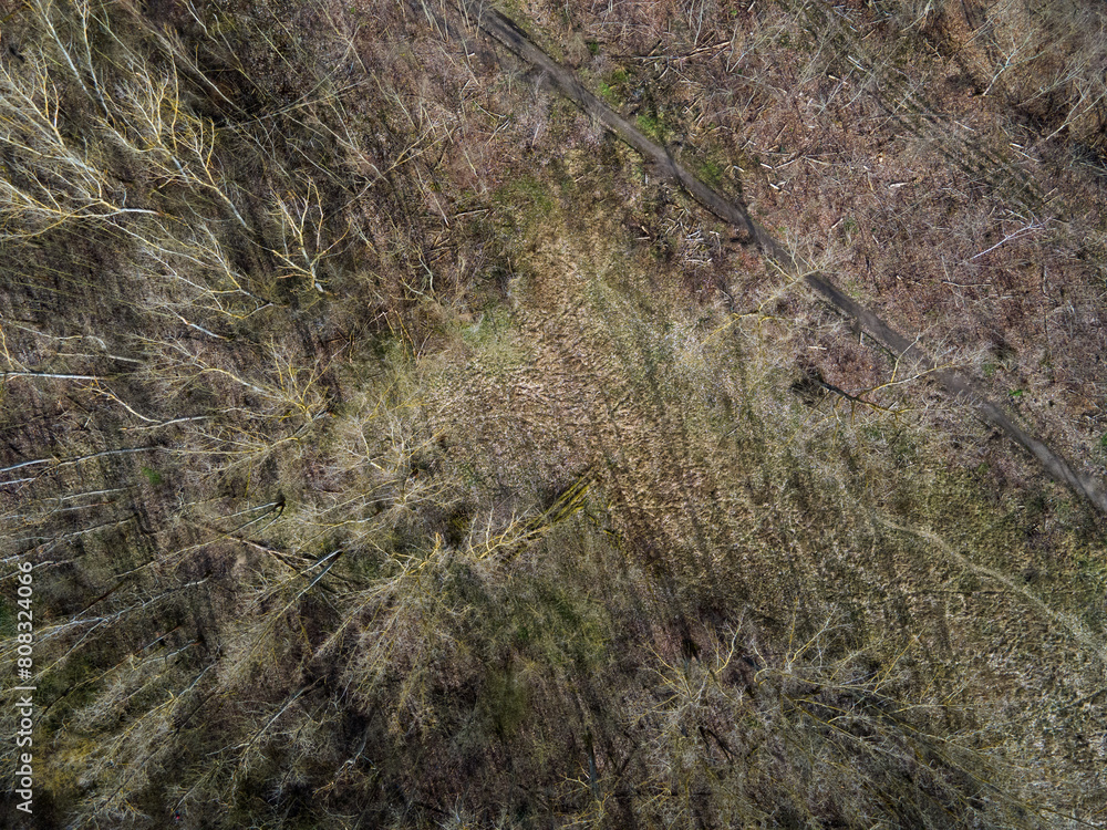 Aerial top down of trees in park on the border of Marzahn and Brandenburg