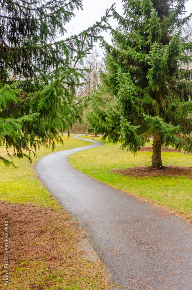 Mountain road with forest foreground in Vancouver, Canada, North America. Day time. Mountain road with forest foreground in Vancouver, Canada, North America. Day time.