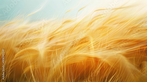 A close up of a wheat field swaying in the wind  a beautiful natural landscape showcasing agriculture and the peacefulness of the meadow AIG50