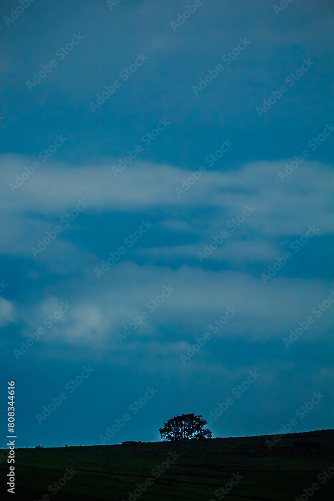Lonely tree at night with clouds in arches of the site in Tepotzotlan Lonely tree at night with clouds in arches of the site in Tepotzotlan