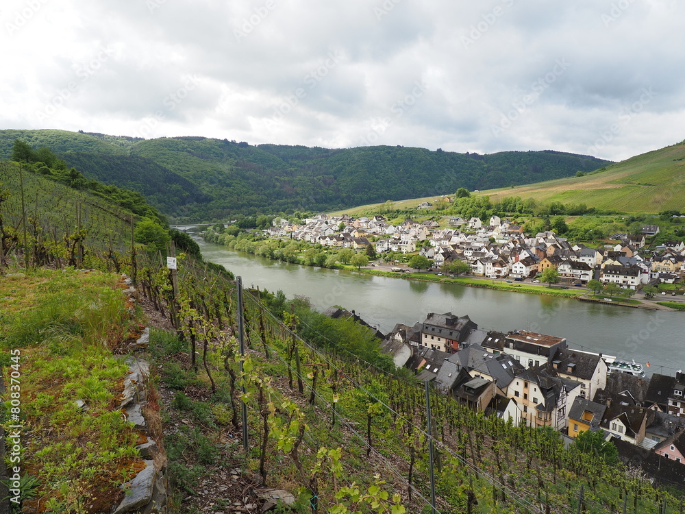 Zell - Stadt an der Mosel in Rheinland-Pfalz