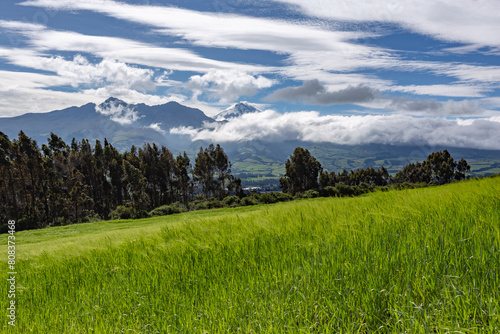 Plantación de cebada en una finca andina en las faldas del volcan Corazon, al fondo se divisa el volcan Rumiñahui y Cotopaxi