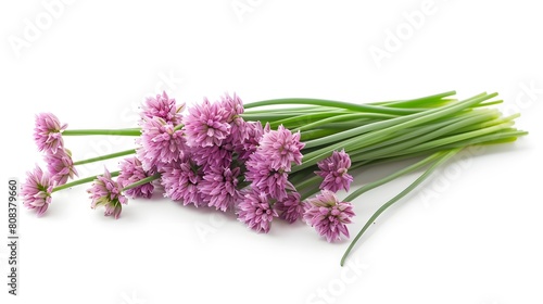 Chives or Allium schoenoprasum isolated on white. 