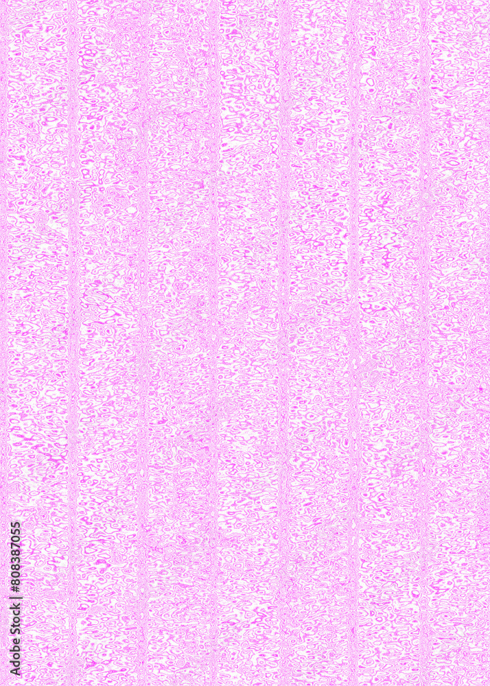 Pink vertical background for ad posters banners social media post events and various design works Pink vertical background for ad posters banners social media post events and various design works