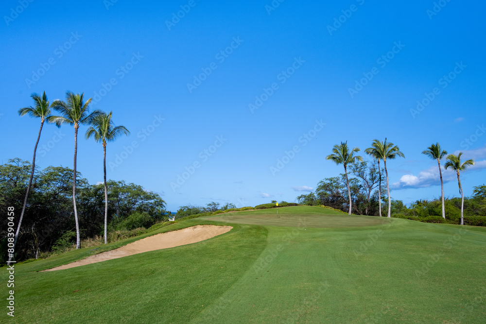Golf ball almost on the putting green of a tropical golf course, palm trees and sunny blue skies, vacation recreation on Hawaii
Golf ball almost on the putting green of a tropical golf course, palm trees and sunny blue skies, vacation recreation on Hawaii