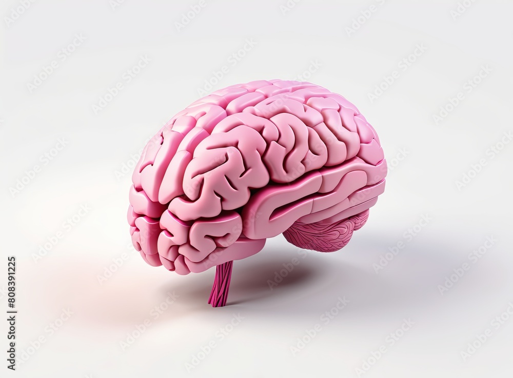 Pink brain in 3d style on a light background Pink brain in 3d style on a light background