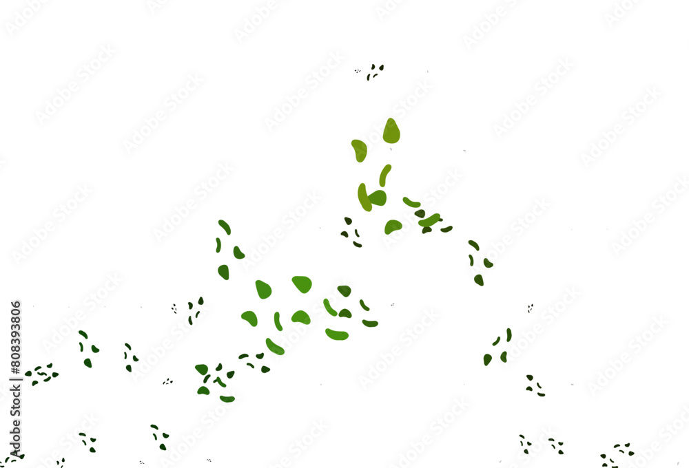 Light Green vector backdrop with abstract shapes. Light Green vector backdrop with abstract shapes.