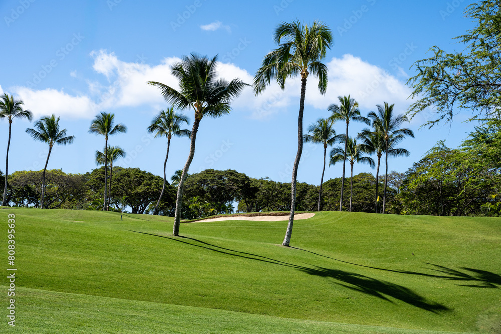 Scenic tropical golf course with palm trees on a sunny blue sky day, sand trap and putting green in background, vacation recreation on Hawaii
Scenic tropical golf course with palm trees on a sunny blue sky day, sand trap and putting green in background, vacation recreation on Hawaii