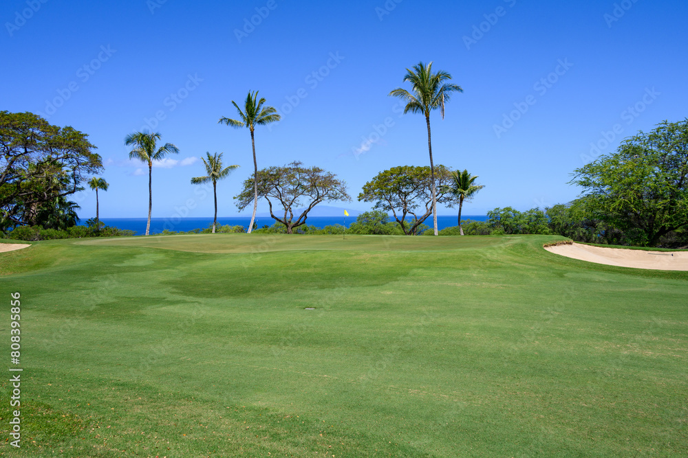 View of putting green and palm trees on a tropical golf course on a sunny day, vacation recreation on Hawaii
