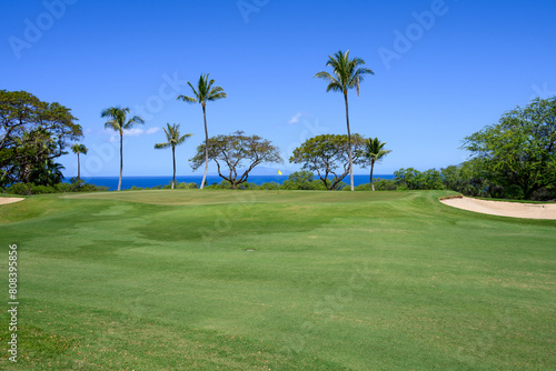 View of putting green and palm trees on a tropical golf course on a sunny day, vacation recreation on Hawaii  © knelson20