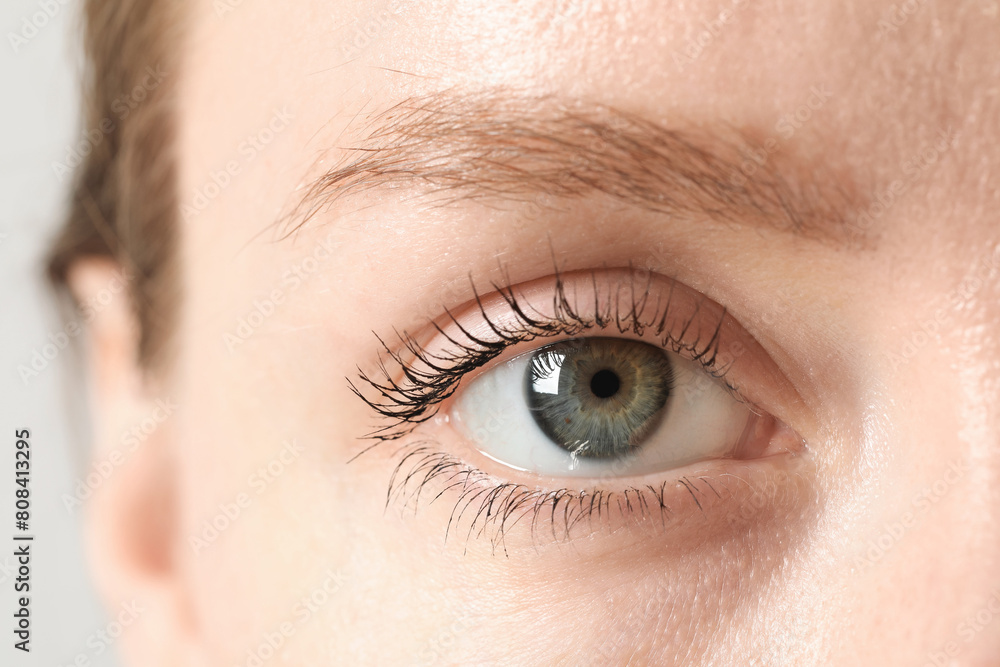 Macro photo of woman with beautiful eyes Macro photo of woman with beautiful eyes
