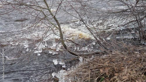 Ice is water in a solid state of aggregation. Ice icicles and stalactites on tree branches near the water. Spring flood. water forms crystals of one crystalline modification - the hexagonal system photo