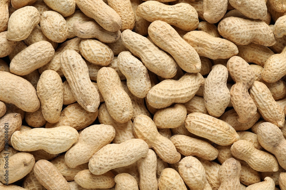 Many fresh unpeeled peanuts as background, top view Many fresh unpeeled peanuts as background, top view