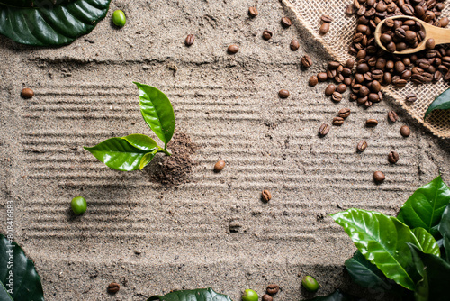 
Colombian coffee coffee coffee plant with coffee beans with spoon on rustic wood with coffee beans on sand with coffee leaves and construction footprint on the crops. Front view