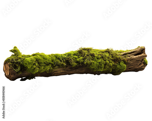 The photo shows a log covered with green moss.