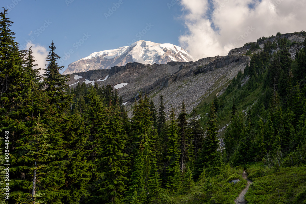 Fototapeta premium Mount Rainier Looms High Over Spray Park Trail