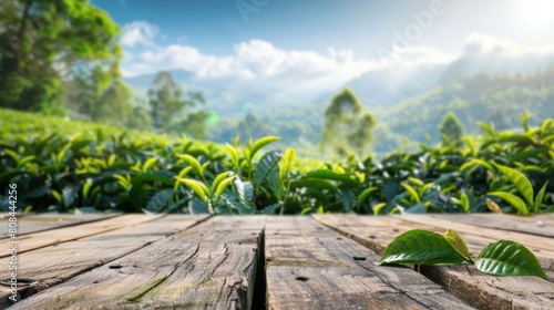 close-up Wooden table in front of a view of a tea plantation with mountains in the background