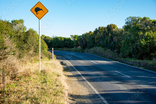 Kiwi Road Sign - New Zealand