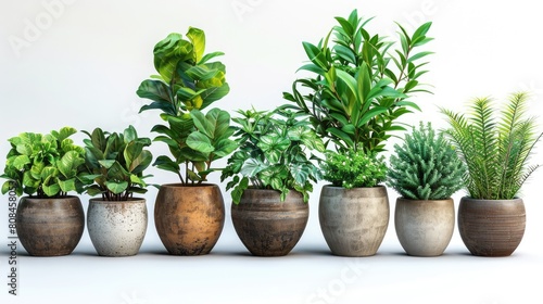 Artificial indoor plants 
