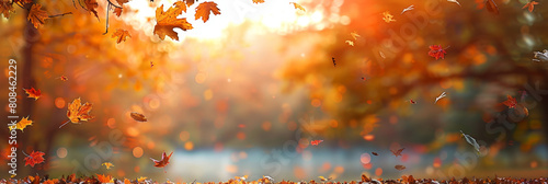 auntumn leaves nature background  copy space banner  Autumn Background With Falling Leaves  orange leaves