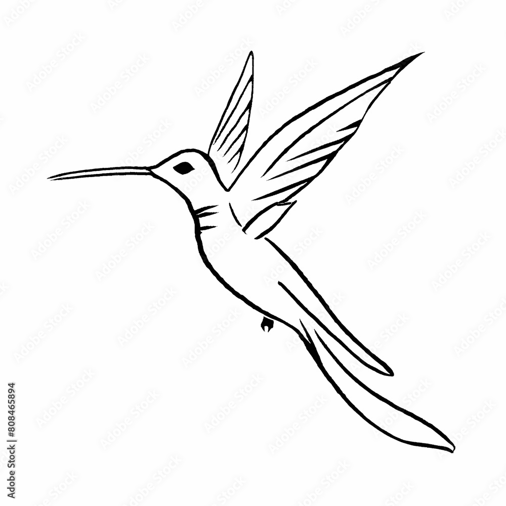 Fototapeta premium hummingbird in flight
