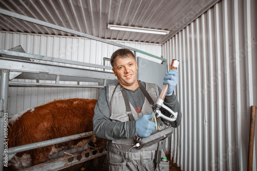 Принти на полотні veterinary professional is ready to vaccinate cattle, a proactive measure to pro