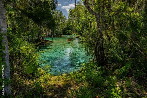 crystal river  florida