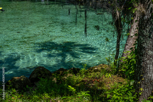 crystal river  florida