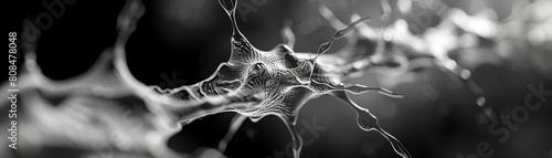 An abstract, organic pattern in black and white that resembles a neural network, with intricate lines and interconnected nodes 8K , high-resolution, ultra HD,up32K HD photo