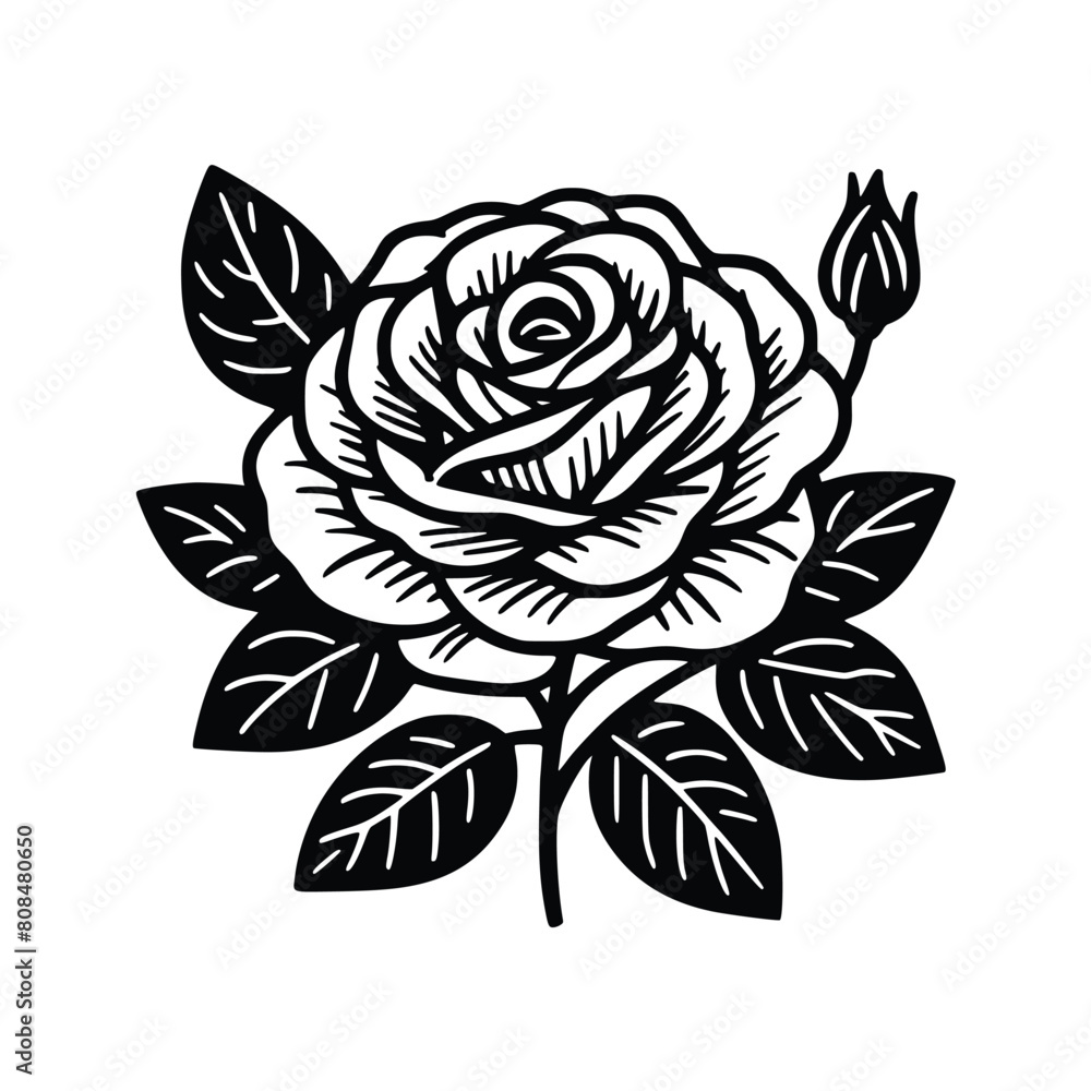 rose with leaves lineart vector illustration. Flower silhoutte rose with leaves lineart vector illustration. Flower silhoutte