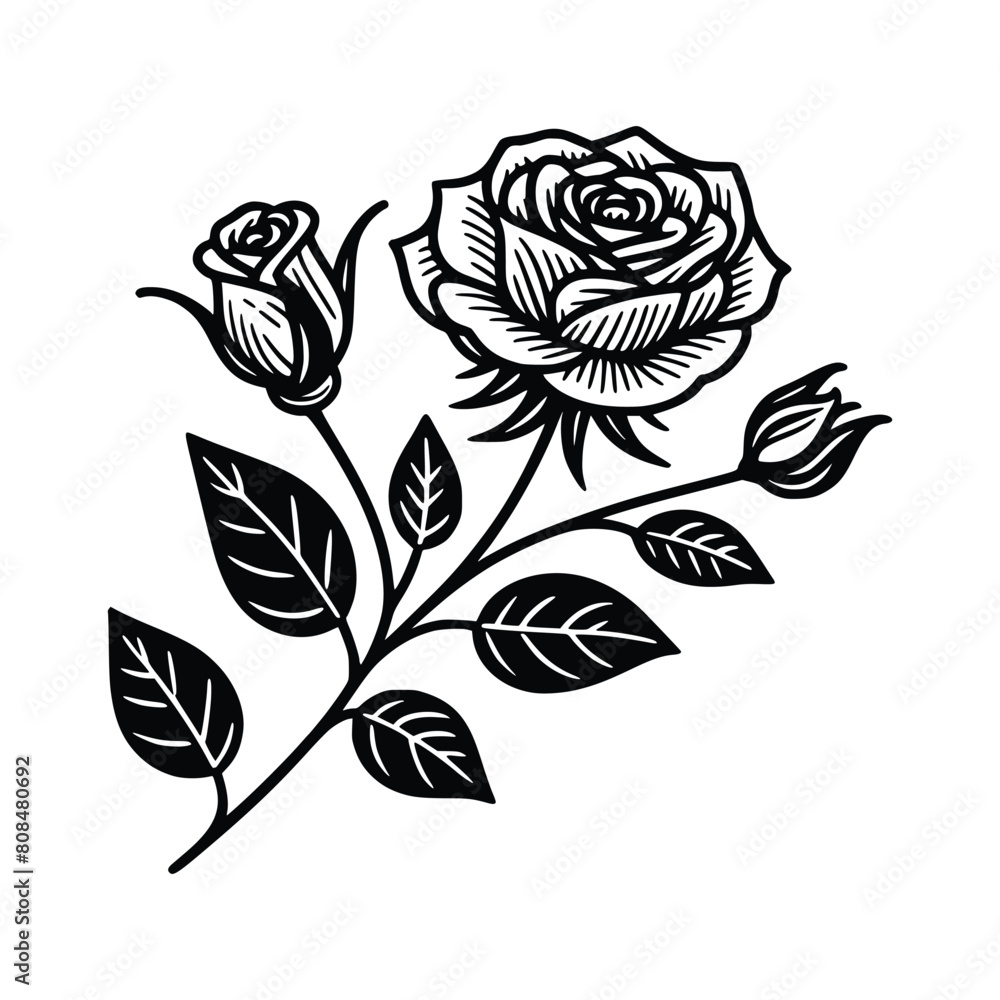 rose with leaves lineart vector illustration. Flower silhoutte rose with leaves lineart vector illustration. Flower silhoutte