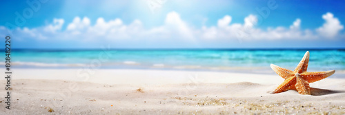 Starfish on sandy tropical beach. Sunny sky with turquoise water in background. Panoramic banner with copy space © Mariusz Blach