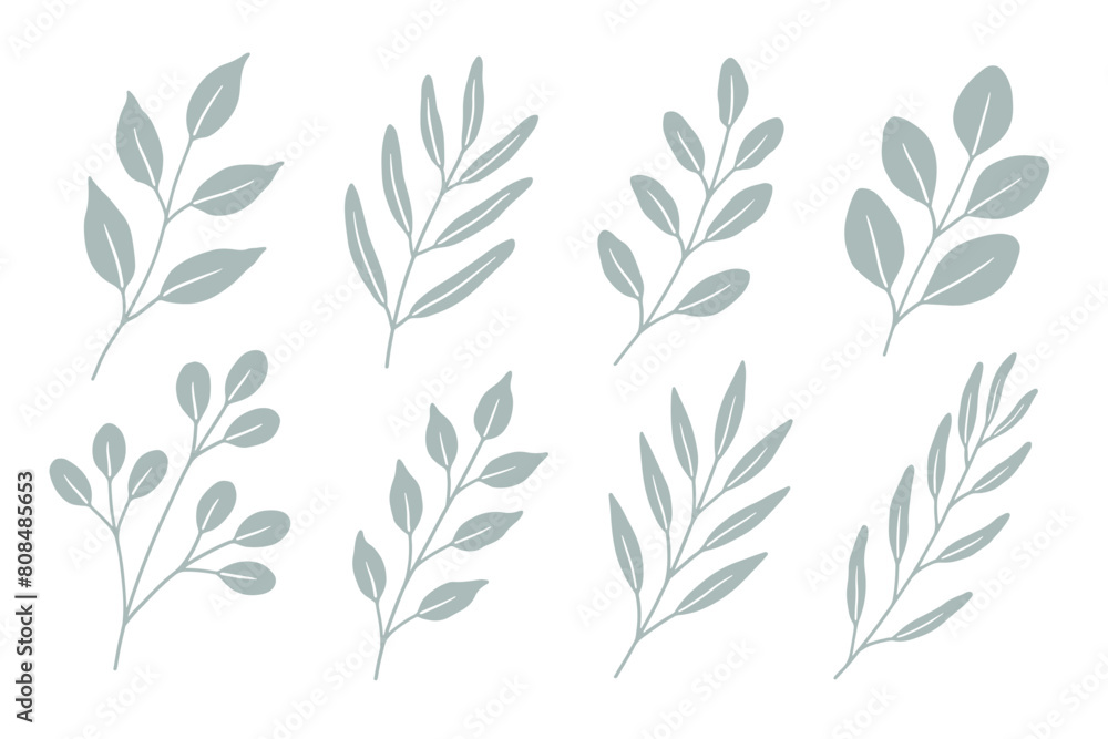 Set of branches with leaves Set of branches with leaves