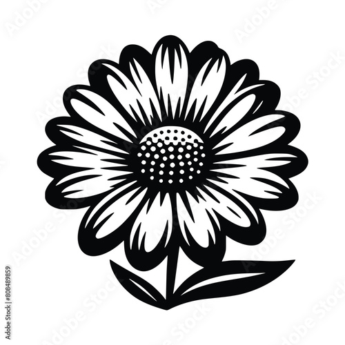 daisy flower vector illustration. Flower silhoutte