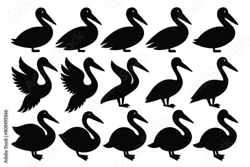 Set of pelican black Silhouette Design with white Background and Vector Illustration