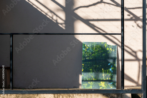 Fototapeta Naklejka Na Ścianę i Meble -  Nature's Mirror. Reflecting Greenery Against Wall Backdrop. Light and  shadow.