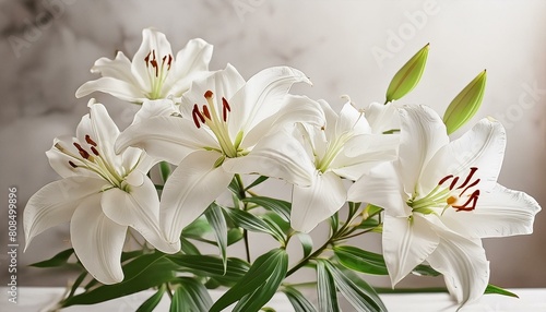bouquet of white lilies flower  white  nature  flowers  spring  plant  lily  beauty