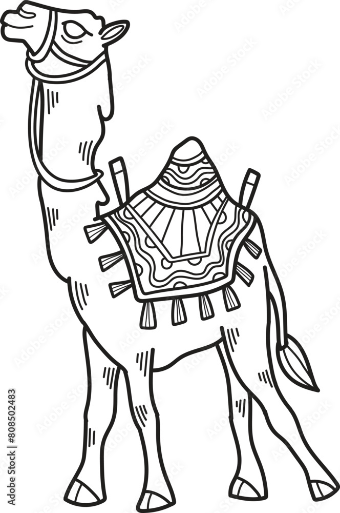A camel is standing with a saddle on its back A camel is standing with a saddle on its back