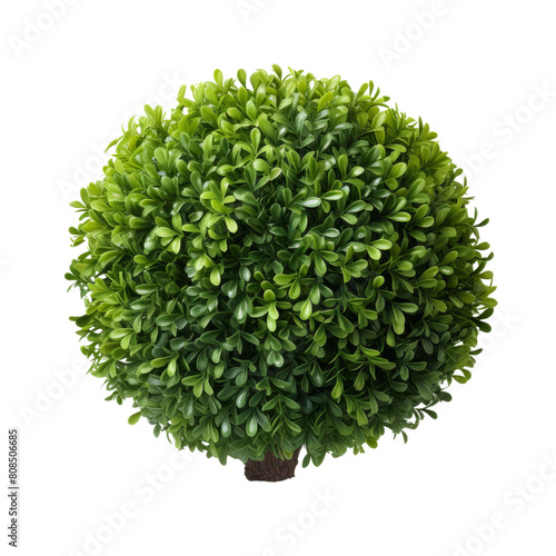 Artificial Boxwood Ball. Looks so real, without the hassle of watering and pruning. photo