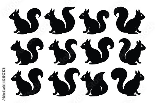 Set of squirrel black Silhouette Design with white Background and Vector Illustration