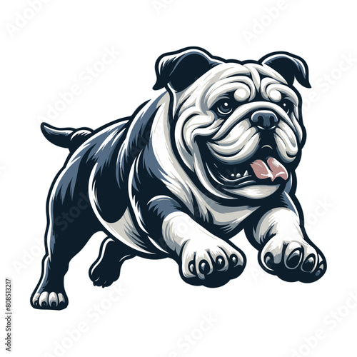 bulldog running vector illustration