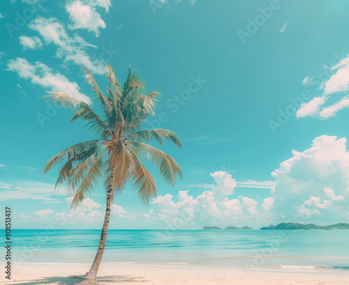 Palm tree on tropical beach with blue sky and white clouds abstract background Copy space of summer vacation and business travel concept Vintage tone filter effect color style © Sattawat