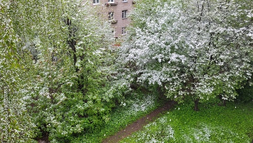 Abnormal snow in the city in spring