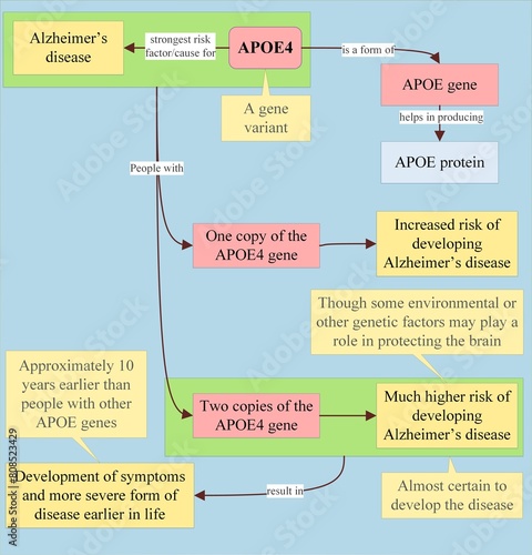 Alzheimer's disease and APOE4