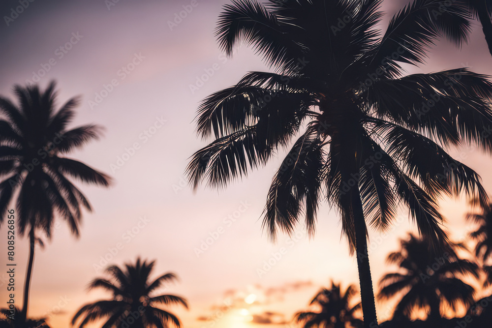 Silhouette Tropical Palm Trees At Sunset . Summer Vacation With Vintage Tone And Bokeh Lights