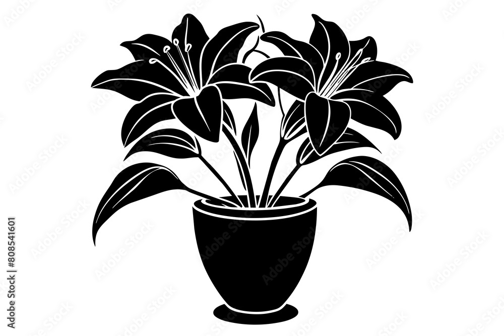 daylily flower in vase silhouette on white background, Vector illustration, silhouette, bird, icon, svg, characters, Holiday t shirt, Hand drawn trendy Vector illustration, Rose flower daylily flower in vase silhouette on white background, Vector illustration, silhouette, bird, icon, svg, characters, Holiday t shirt, Hand drawn trendy Vector illustration, Rose flower